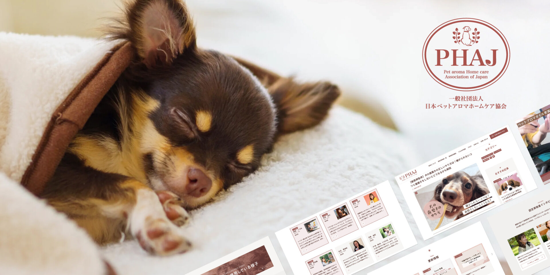 一般社団法人日本ペットアロマホームケア協会
